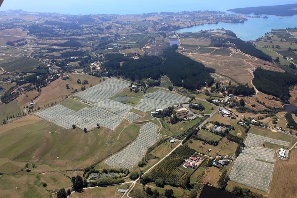 Beech Hill - Pet Friendly Holiday Home Tasman ภายนอก รูปภาพ