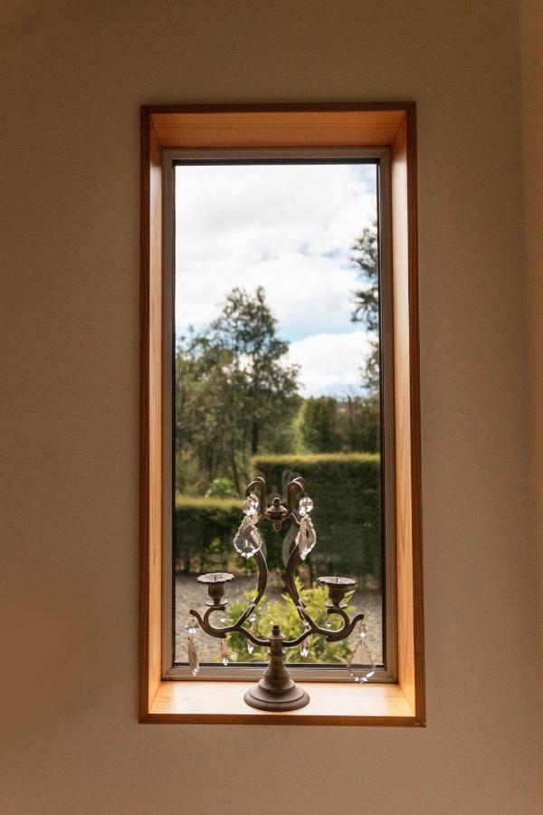 Beech Hill - Pet Friendly Holiday Home Tasman ภายนอก รูปภาพ