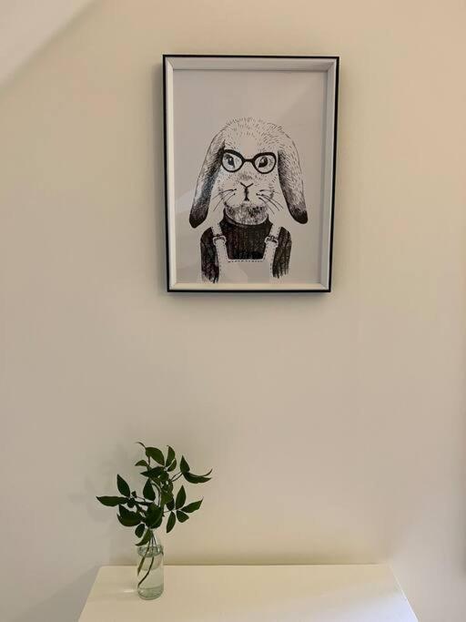 Beech Hill - Pet Friendly Holiday Home Tasman ภายนอก รูปภาพ